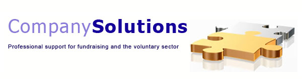 company solutions - professional support for fundraising and the voluntary sector